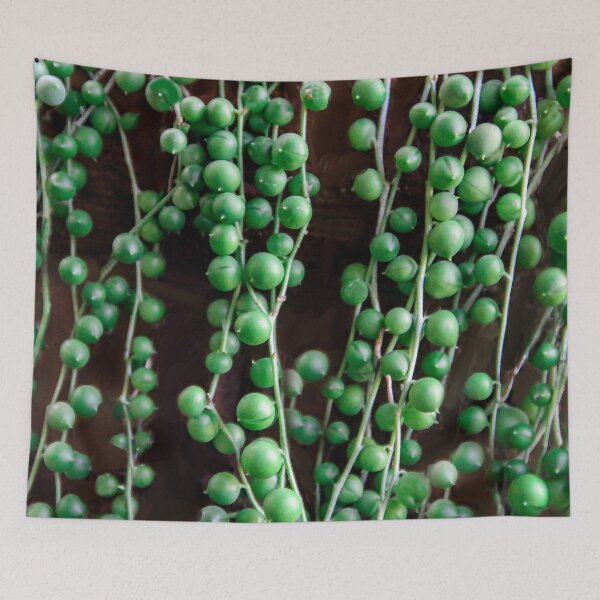 Item preview, Mother Nature's String of Pearls designed and sold by heatherfriedman.