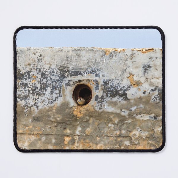 Item preview, Small Bird Peeking From Nesting Hole in Weathered Concrete Wall With Blue Sky Background designed and sold by Nmallia.