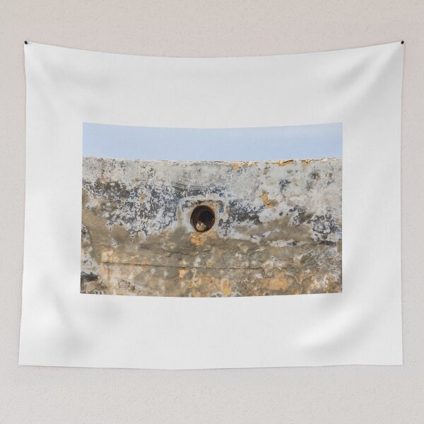 Item preview, Small Bird Peeking From Nesting Hole in Weathered Concrete Wall With Blue Sky Background designed and sold by Nmallia.
