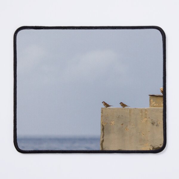 Item preview, Two Sparrows Perched on Weathered Concrete Wall Overlooking Calm Sea and Soft Sky designed and sold by Nmallia.