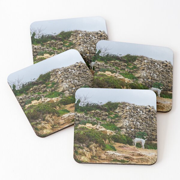 Item preview, White And Brown Pointer Dog Poised And Alert In Rocky Green Field During Hunt designed and sold by Nmallia.