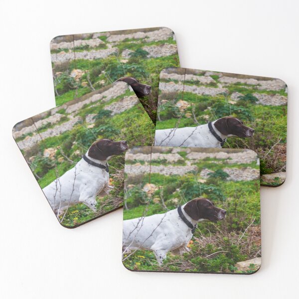 Item preview,  White And Brown Pointer Dog Poised And Alert In Rocky Green Field During Hunt designed and sold by Nmallia.