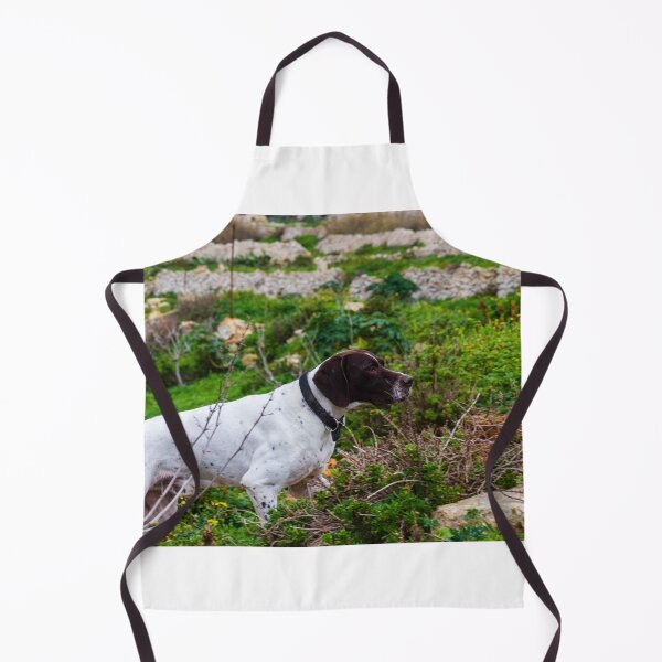Item preview, White And Brown Pointer Dog Poised And Alert In Rocky Green Field During Hunt designed and sold by Nmallia.