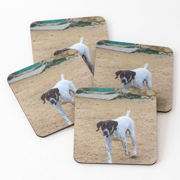 Item preview, White And Brown Pointer Dog Poised And Alert In Rocky Green Field During Hunt designed and sold by Nmallia.