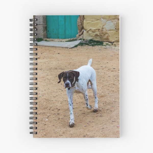 Item preview, White And Brown Pointer Dog Poised And Alert In Rocky Green Field During Hunt designed and sold by Nmallia.