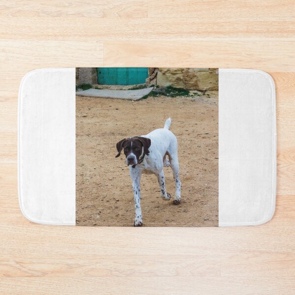 Item preview, White And Brown Pointer Dog Poised And Alert In Rocky Green Field During Hunt designed and sold by Nmallia.