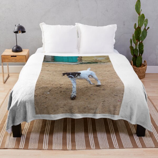Item preview, White And Brown Pointer Dog Poised And Alert In Rocky Green Field During Hunt designed and sold by Nmallia.