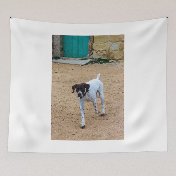 Item preview, White And Brown Pointer Dog Poised And Alert In Rocky Green Field During Hunt designed and sold by Nmallia.