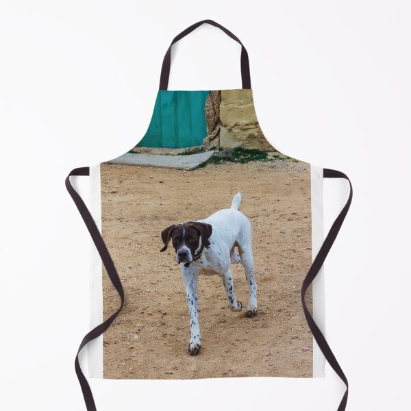 Item preview, White And Brown Pointer Dog Poised And Alert In Rocky Green Field During Hunt designed and sold by Nmallia.