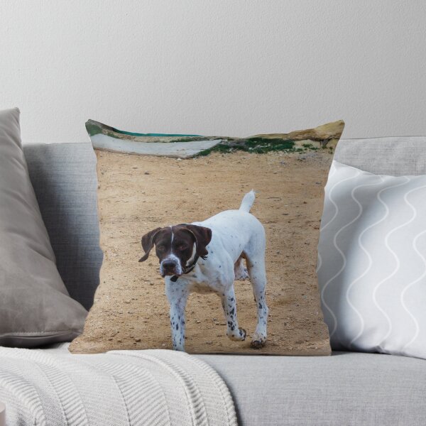 Item preview, White And Brown Pointer Dog Poised And Alert In Rocky Green Field During Hunt designed and sold by Nmallia.