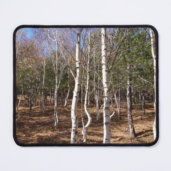 Item preview, White forest designed and sold by giucreates.