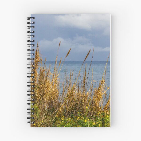 Item preview, Stormy Coastal Seascape With Golden Reeds in Foreground and Calm Blue Sea Horizon designed and sold by Nmallia.
