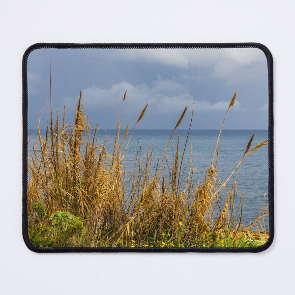 Item preview, Stormy Coastal Seascape With Golden Reeds in Foreground and Calm Blue Sea Horizon designed and sold by Nmallia.