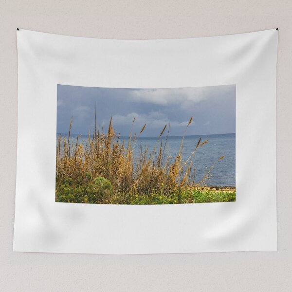 Item preview, Stormy Coastal Seascape With Golden Reeds in Foreground and Calm Blue Sea Horizon designed and sold by Nmallia.
