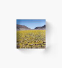 Yellow fields. Acrylic Block