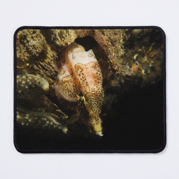 Item preview, The Grump designed and sold by SalishSeascapes.