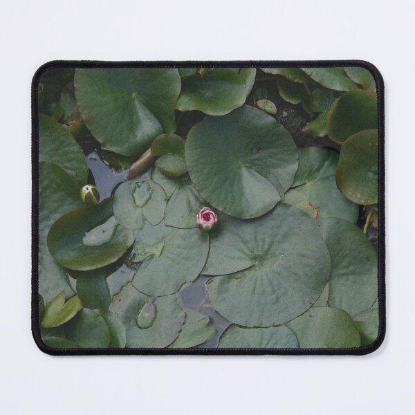 Item preview, Lone Pink Water Lily and Dense Lily Pads - Moody Nature Photo designed and sold by Kromatik.