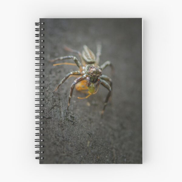 Item preview, Spider munching on Green ant designed and sold by AnnaKT.