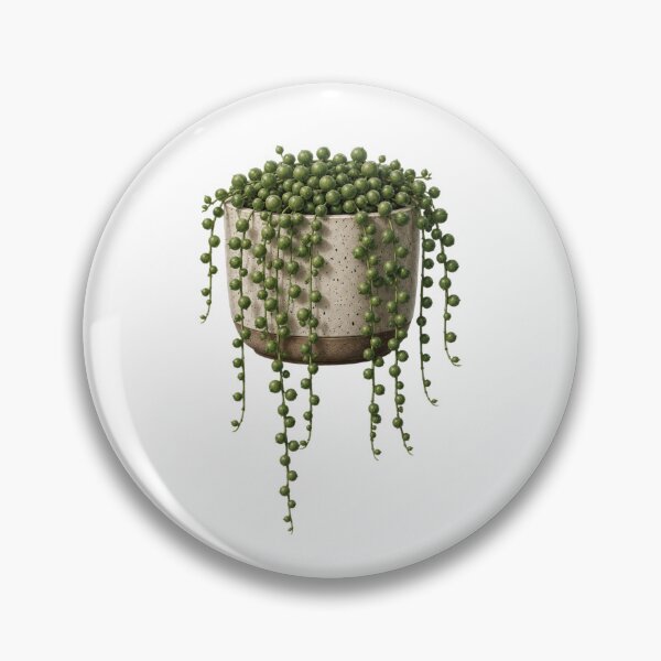 Item preview, String of Pearls Succulent in Ceramic Pot designed and sold by MySthore.