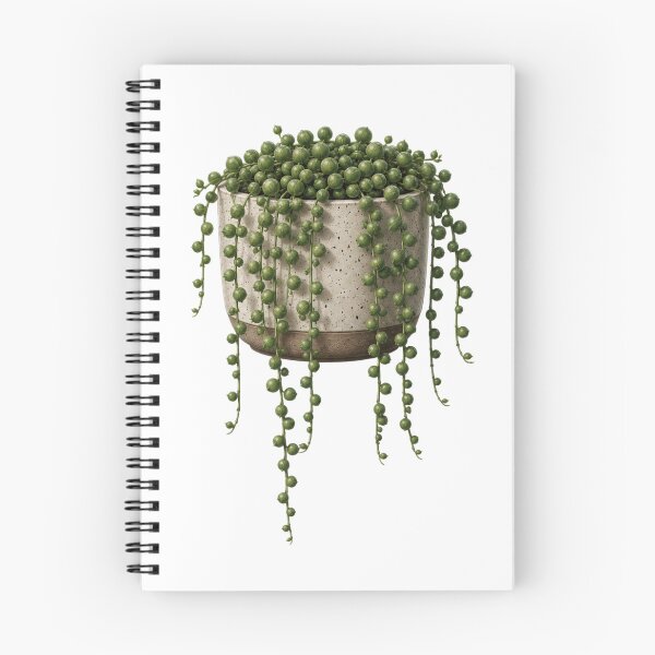 Item preview, String of Pearls Succulent in Ceramic Pot designed and sold by MySthore.