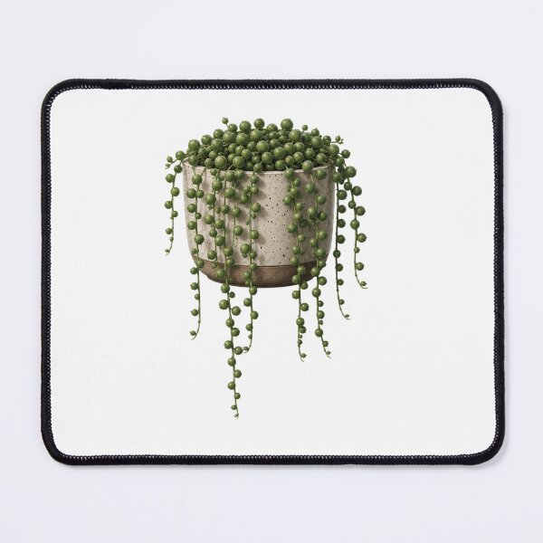 Item preview, String of Pearls Succulent in Ceramic Pot designed and sold by MySthore.