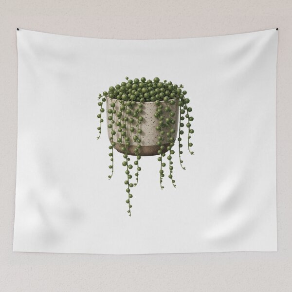 Item preview, String of Pearls Succulent in Ceramic Pot designed and sold by MySthore.