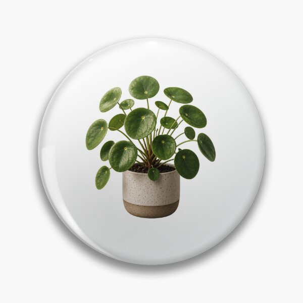 Item preview, Money Plant in Ceramic Pot designed and sold by MySthore.