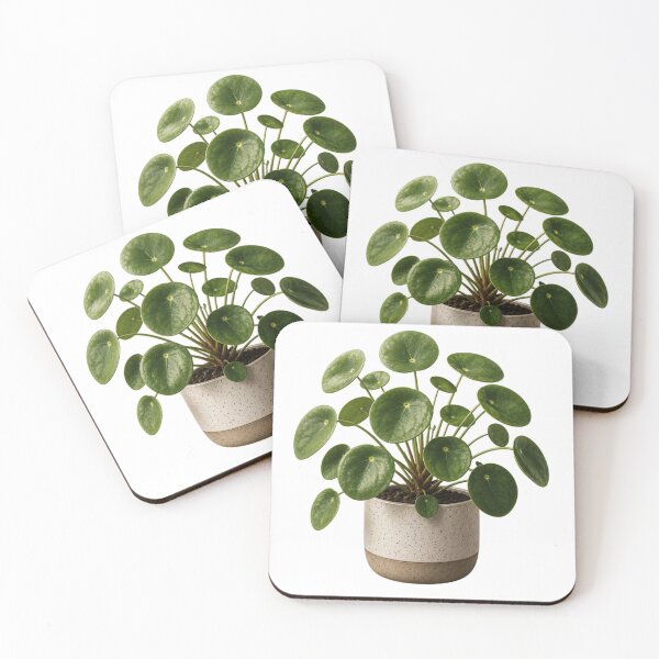 Item preview, Money Plant in Ceramic Pot designed and sold by MySthore.