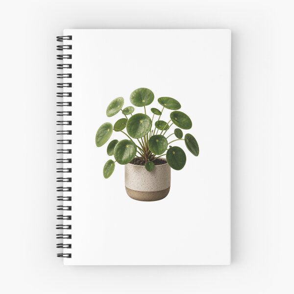 Item preview, Money Plant in Ceramic Pot designed and sold by MySthore.