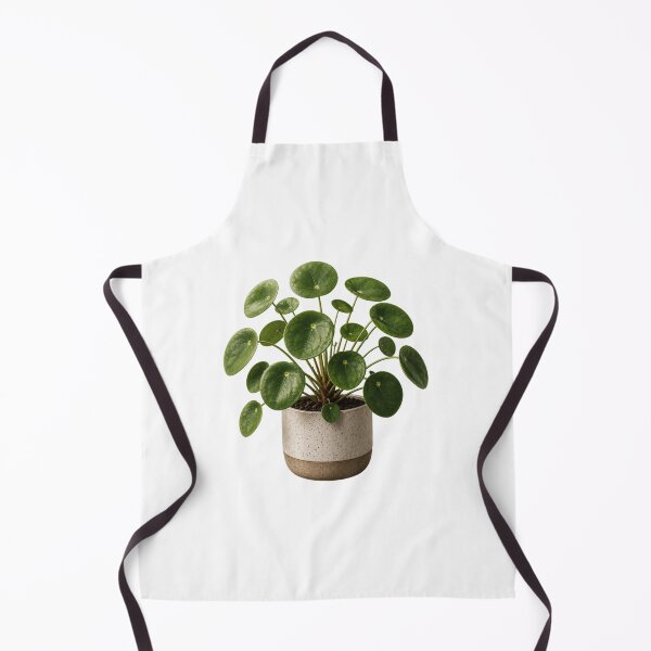 Item preview, Money Plant in Ceramic Pot designed and sold by MySthore.