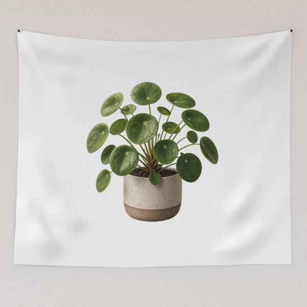 Item preview, Money Plant in Ceramic Pot designed and sold by MySthore.