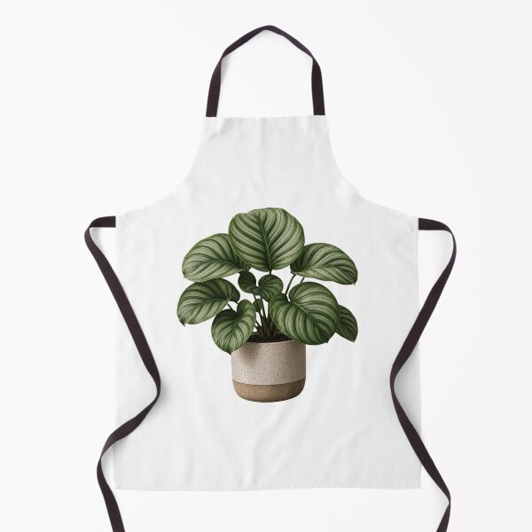 Item preview, Calathea Orbifolia in Ceramic Pot designed and sold by MySthore.