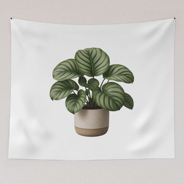 Item preview, Calathea Orbifolia in Ceramic Pot designed and sold by MySthore.