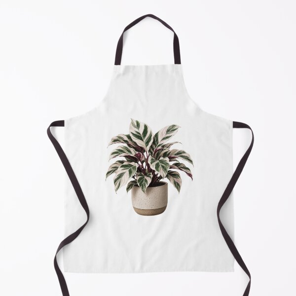 Item preview, Calathea White Fusion in Ceramic Pot designed and sold by MySthore.