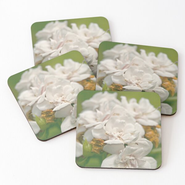 Item preview, Soft White Floral Cluster Macro - Dreamy Botanical Photography designed and sold by Kromatik.
