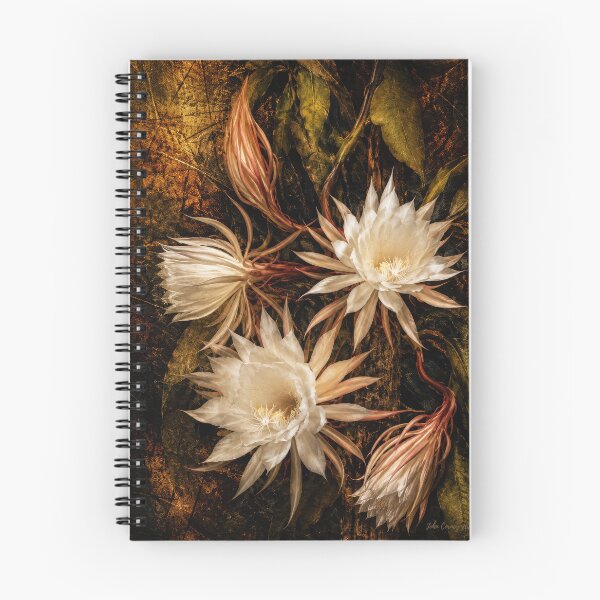 Item preview, Epiphyllum oxypetalum — Queen of the Night, Painterly Botanical Art designed and sold by kornkobart.