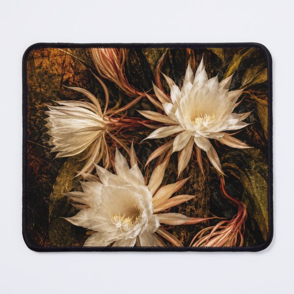 Item preview, Epiphyllum oxypetalum — Queen of the Night, Painterly Botanical Art designed and sold by kornkobart.