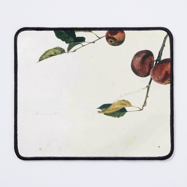 Item preview, Andrew wyeth artwork designed and sold by Bivrgagnon.