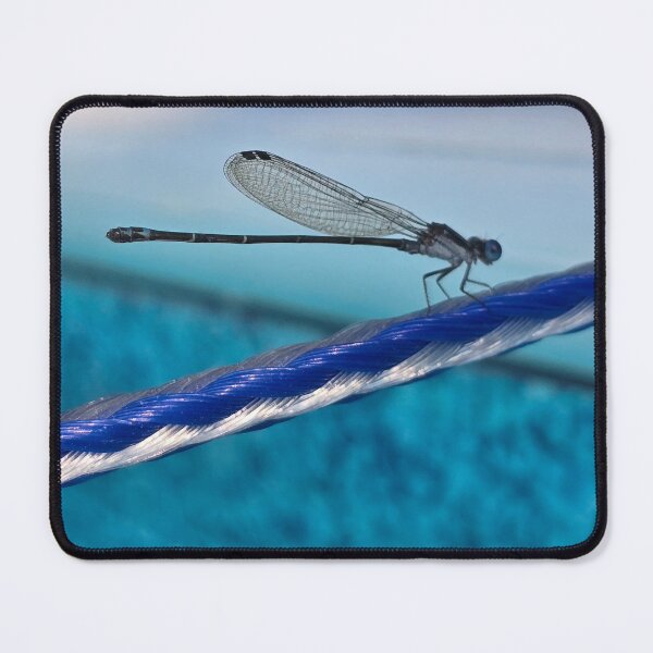 Item preview, It's a blue, blue summer designed and sold by Shoppinmammaj.