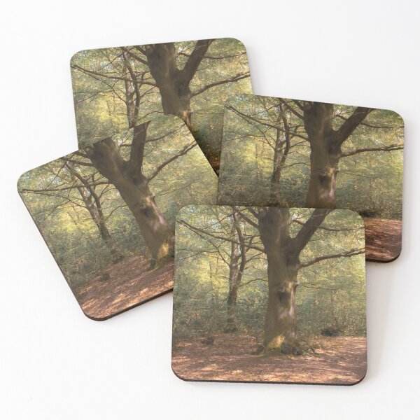 Item preview, Evergreen designed and sold by Christine Lake.