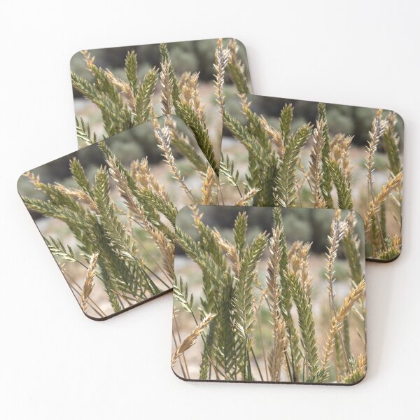 Item preview, A stand of Crested Wheatgrass in the afternoon sun designed and sold by lisavonbiela.