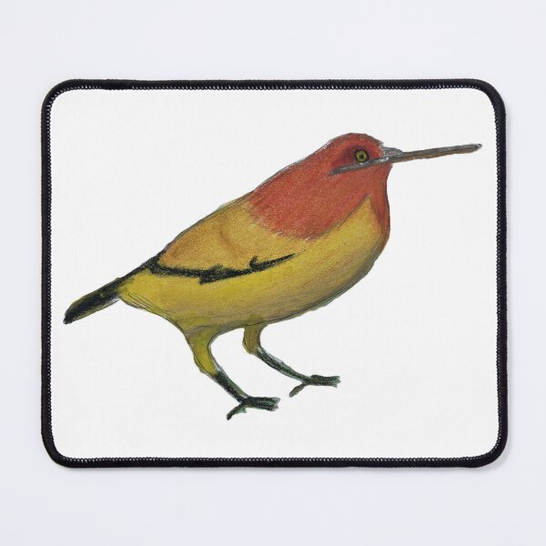 Item preview, Flame Bowerbird designed and sold by woodland-towers.