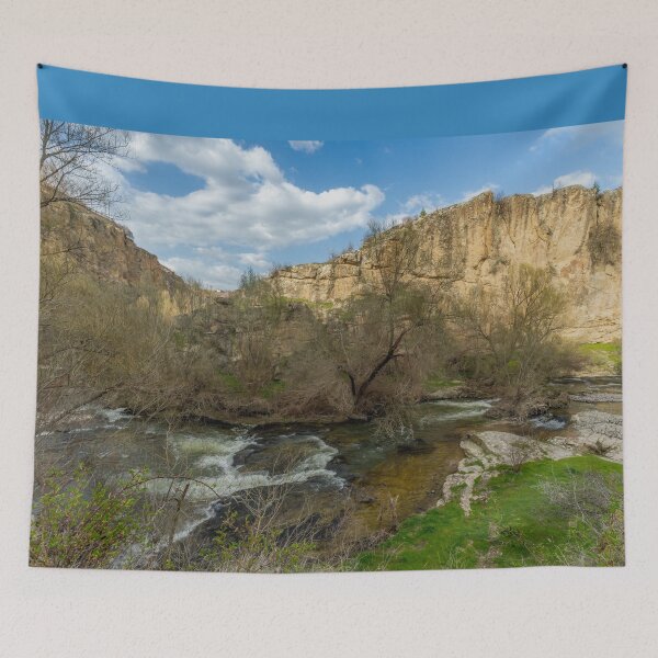 Item preview, Ihlara Valley River and Cliffs, Cappadocia, Turkiye designed and sold by SafariByMarisa.