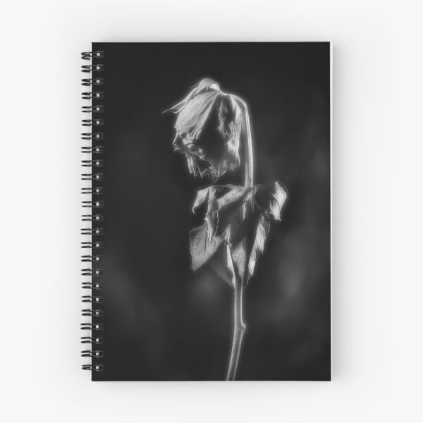 Item preview, Withered Rose in black and white photography designed and sold by pcole123.