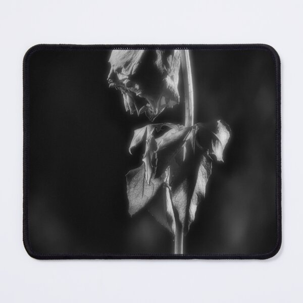 Item preview, Withered Rose in black and white photography designed and sold by pcole123.
