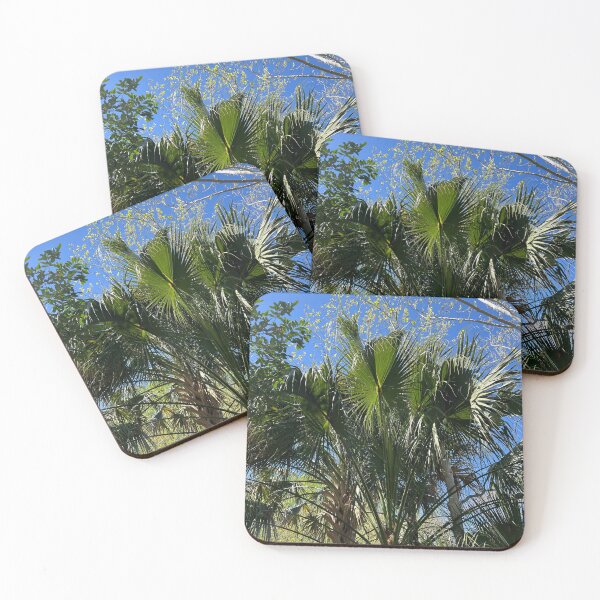 Item preview, Palm Canopy designed and sold by Catherine Kerr.
