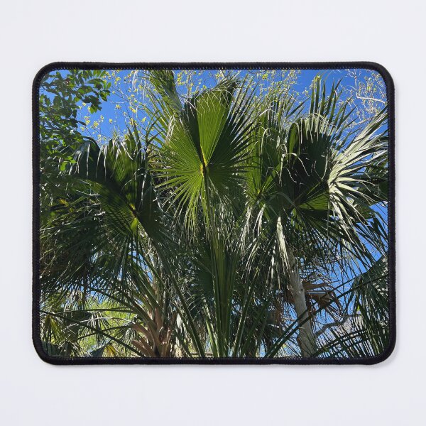 Item preview, Palm Canopy designed and sold by Catherine Kerr.