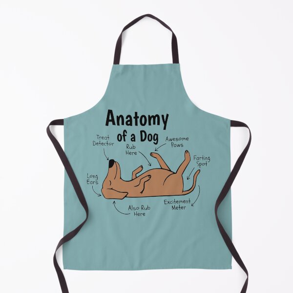 Item preview, Anatomy of a dog - cute dog art designed and sold by aziza-doodles.