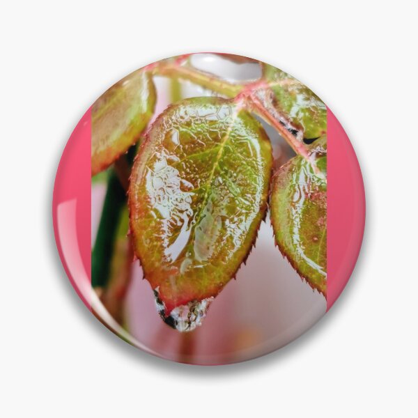 Item preview, Melted ice on a leaf in wintertime designed and sold by BooView.
