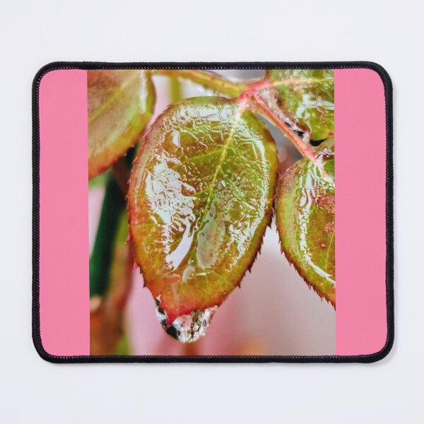 Item preview, Melted ice on a leaf in wintertime designed and sold by BooView.